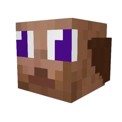 Nahee55 Minecraft avatar head, 3D render