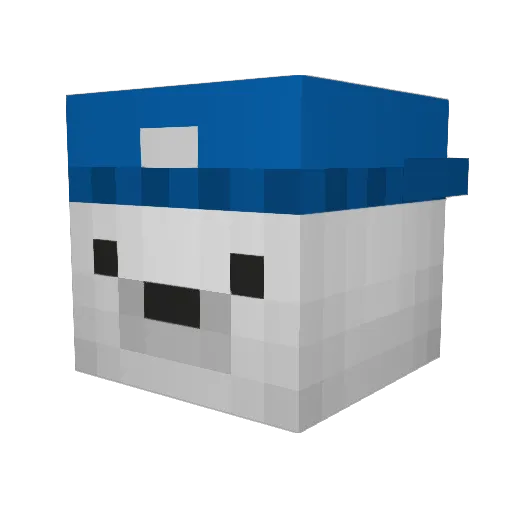 NahhTaLee Minecraft avatar head, 3D render