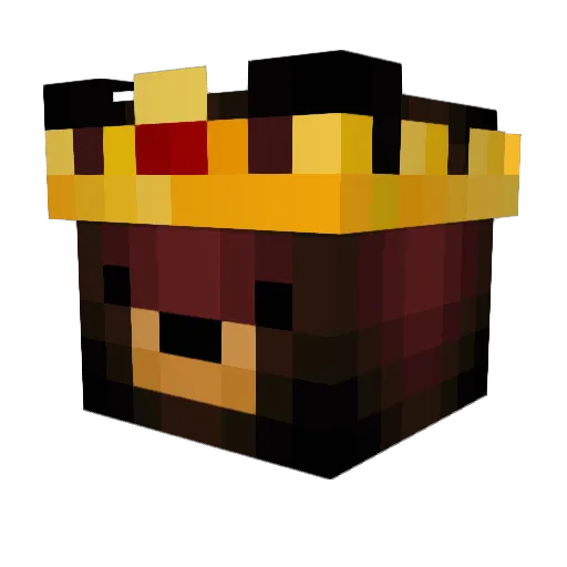 Nahhhhhhhh Minecraft avatar head, 3D render