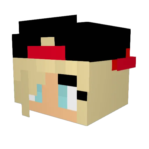 Nahi1401 Minecraft avatar head, 3D render