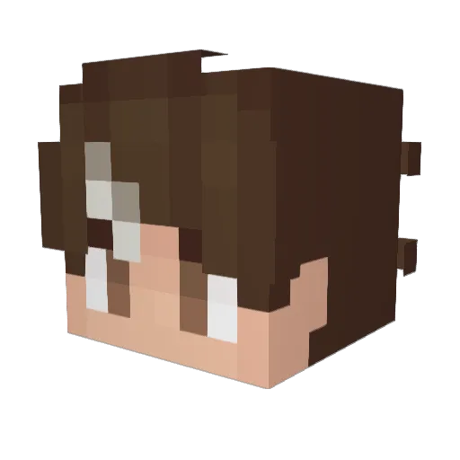 Nahice Minecraft avatar head, 3D render