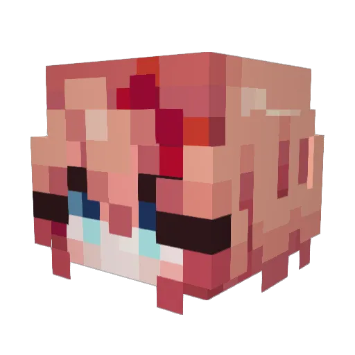 Nahsite Minecraft avatar head, 3D render