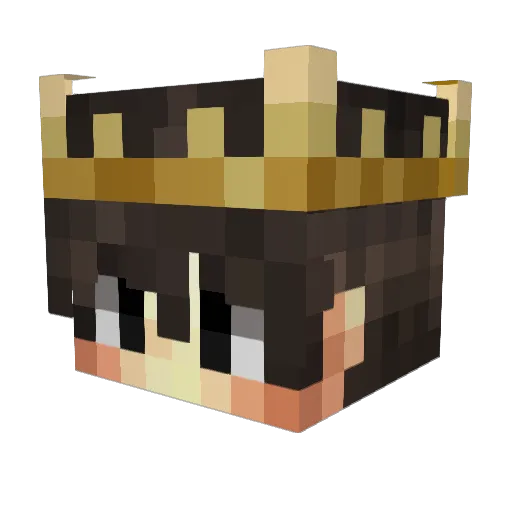 Nahty0 Minecraft avatar head, 3D render