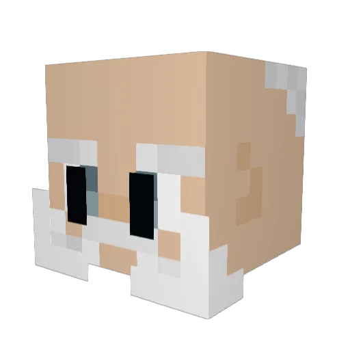Nahuicr Minecraft avatar head, 3D render