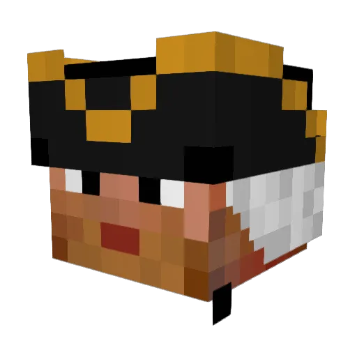 Nahwals Minecraft avatar head, 3D render