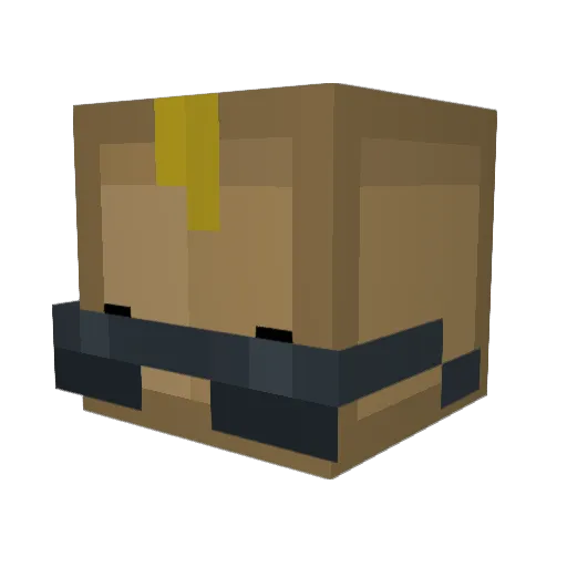 NaiCha___ Minecraft avatar head, 3D render