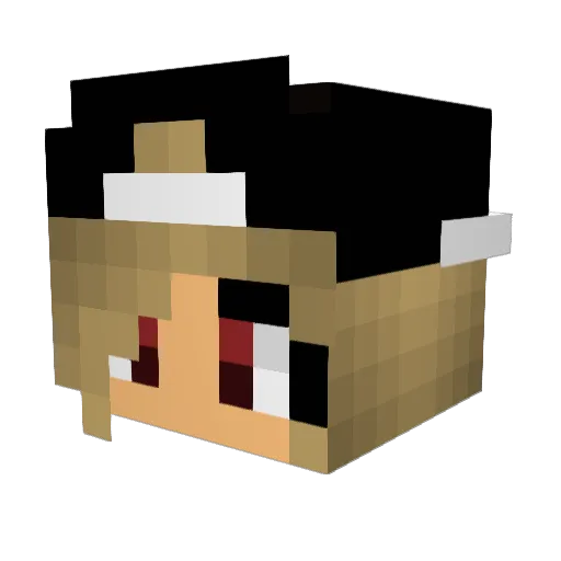 NaiCraft Minecraft avatar head, 3D render