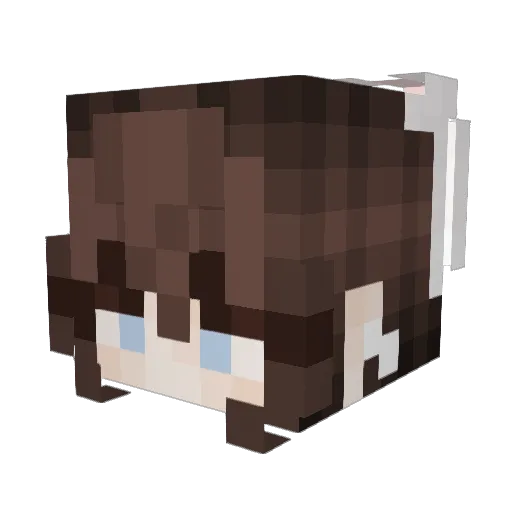 NaiNai23 Minecraft avatar head, 3D render