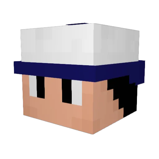 NaiNonTheN00b1 Minecraft avatar head, 3D render