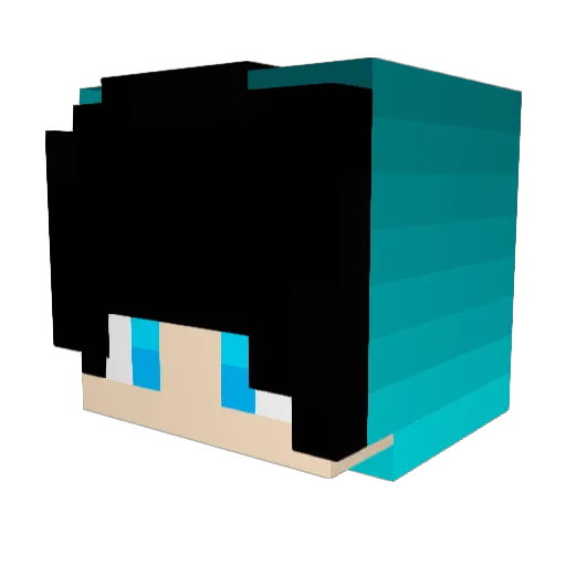 NaiZax Minecraft avatar head, 3D render