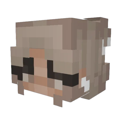 Naiahliz06 Minecraft avatar head, 3D render