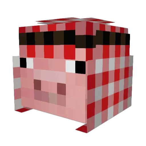 Naicol204 Minecraft avatar head, 3D render