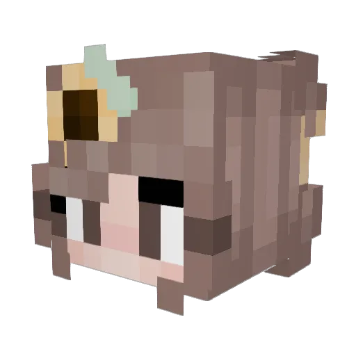 Naid__ Minecraft avatar head, 3D render