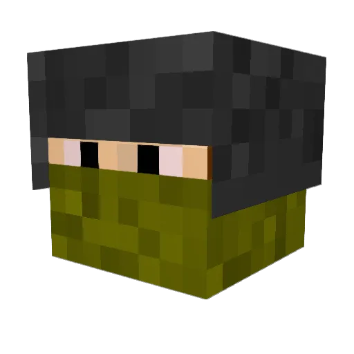 Naider Minecraft avatar head, 3D render