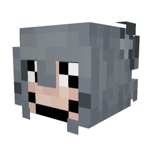 Naides14 Minecraft avatar head, 3D render