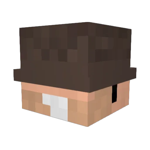 NaifGam3r Minecraft avatar head, 3D render