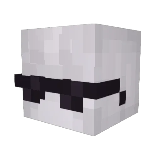 Naifen69 Minecraft avatar head, 3D render