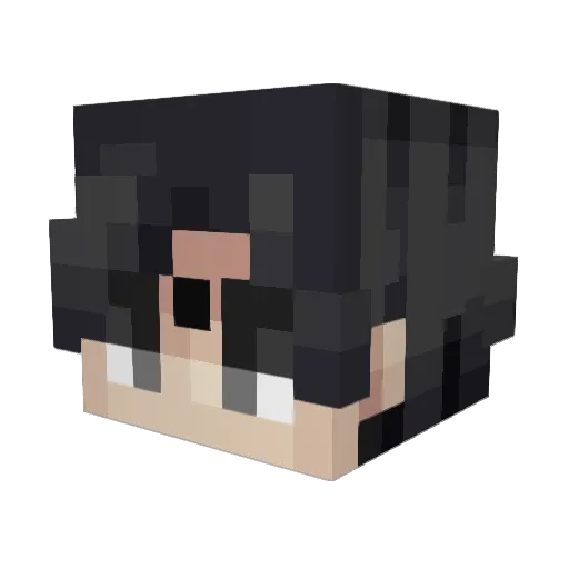 Naigon Minecraft avatar head, 3D render