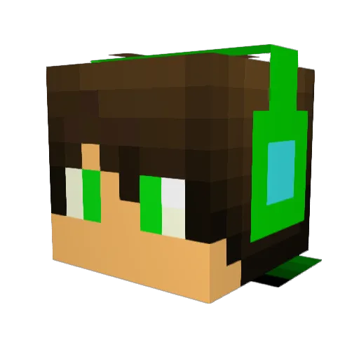 NaiiCe___ Minecraft avatar head, 3D render