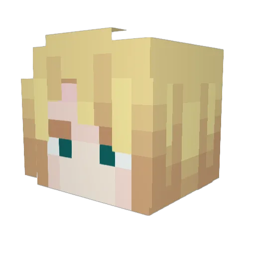 Naile22 Minecraft avatar head, 3D render