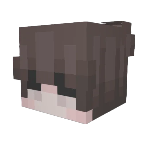 NaileeL Minecraft avatar head, 3D render