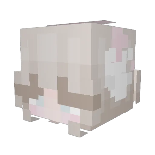 Nailey246 Minecraft avatar head, 3D render