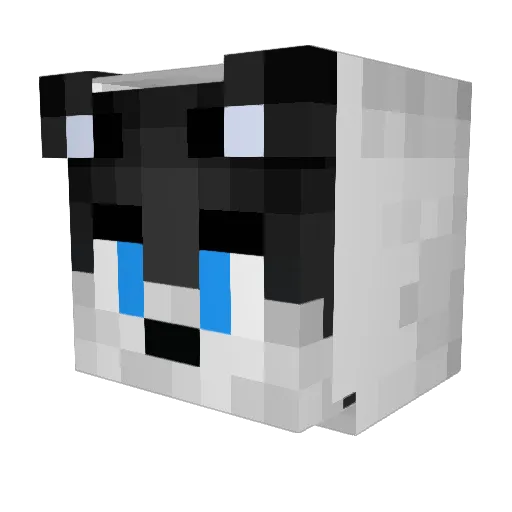 Naillek_X Minecraft avatar head, 3D render