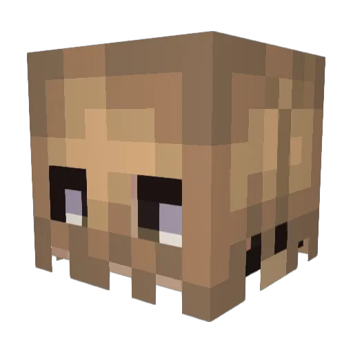 Nailuuh Minecraft avatar head, 3D render