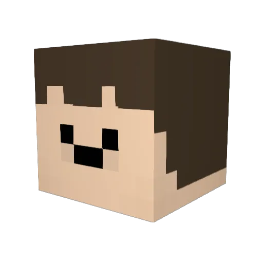 Nailux Minecraft avatar head, 3D render