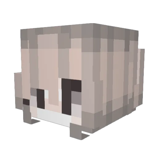 Nailys Minecraft avatar head, 3D render