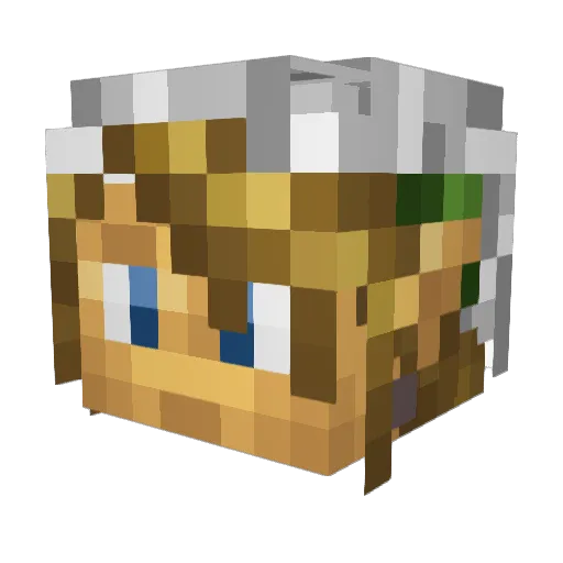 Nain18 Minecraft avatar head, 3D render