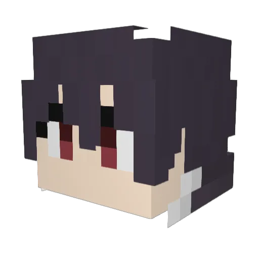 Nainaiwen Minecraft avatar head, 3D render