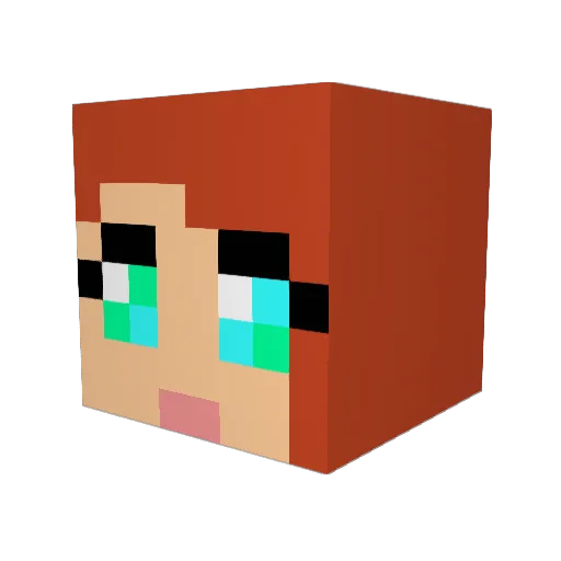 Nainelyn Minecraft avatar head, 3D render
