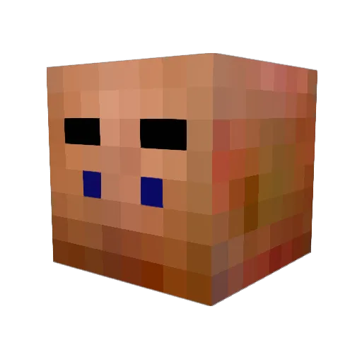 Nainz98 Minecraft avatar head, 3D render