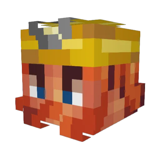 Nairas Minecraft avatar head, 3D render