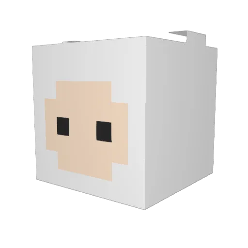 Nairbear21 Minecraft avatar head, 3D render