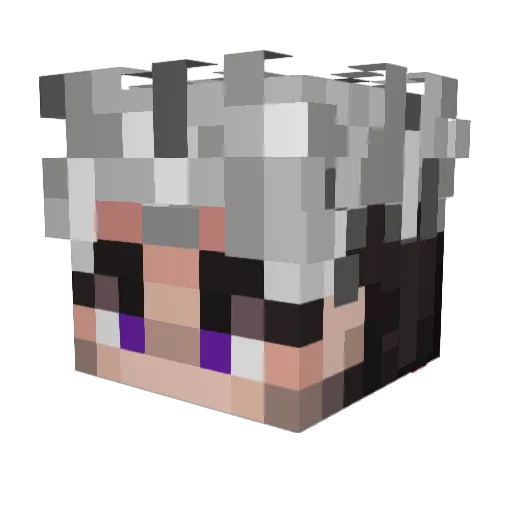 Nairiz Minecraft avatar head, 3D render