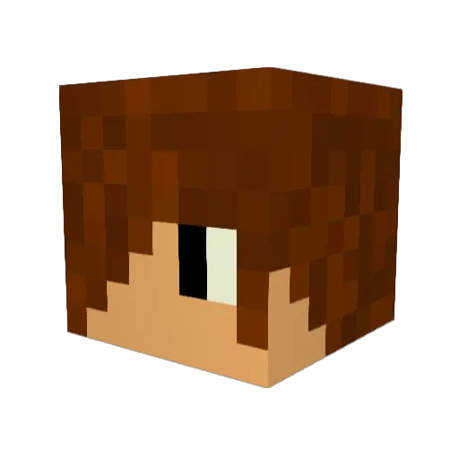 Nairo05 Minecraft avatar head, 3D render