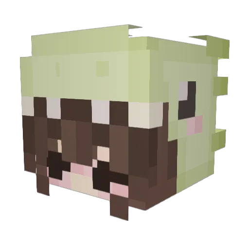 Naive_Noob Minecraft avatar head, 3D render