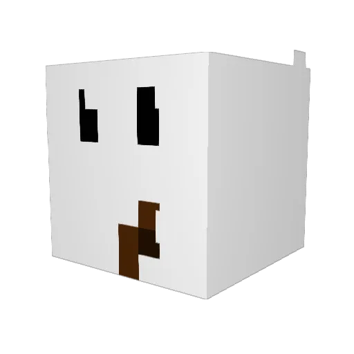Naivecrowd3228 Minecraft avatar head, 3D render