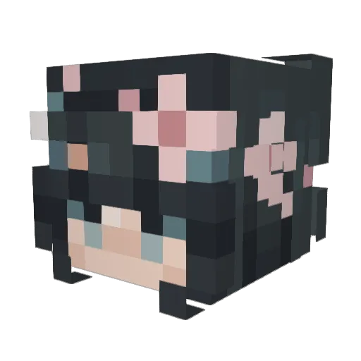 Naizhaa Minecraft avatar head, 3D render