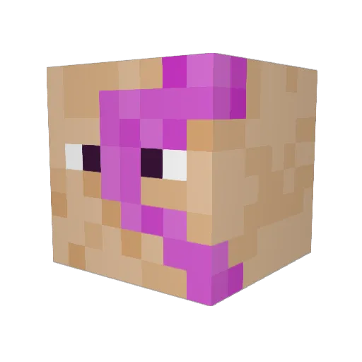 NajBlyambaGang Minecraft avatar head, 3D render