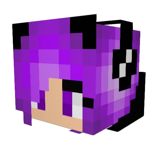 Naja123 Minecraft avatar head, 3D render