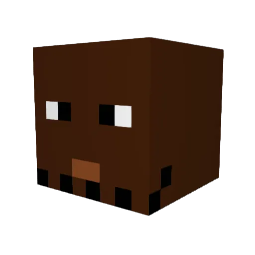 Najdienon Minecraft avatar head, 3D render