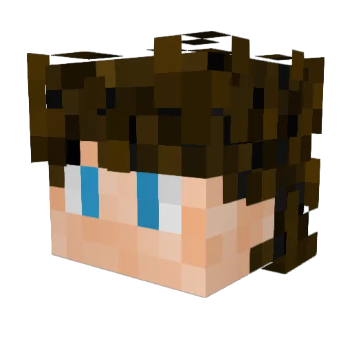 Najim1231 Minecraft avatar head, 3D render