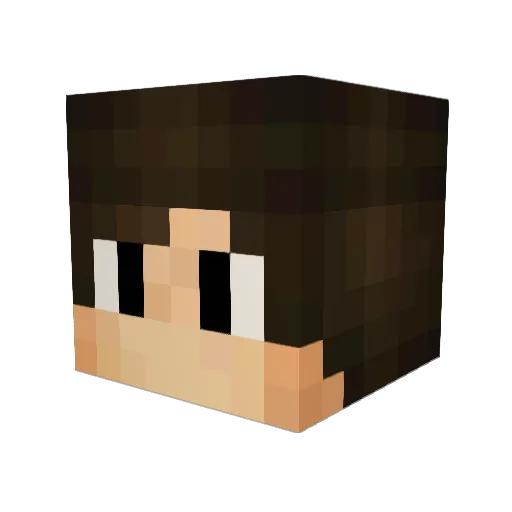 Najron Minecraft avatar head, 3D render