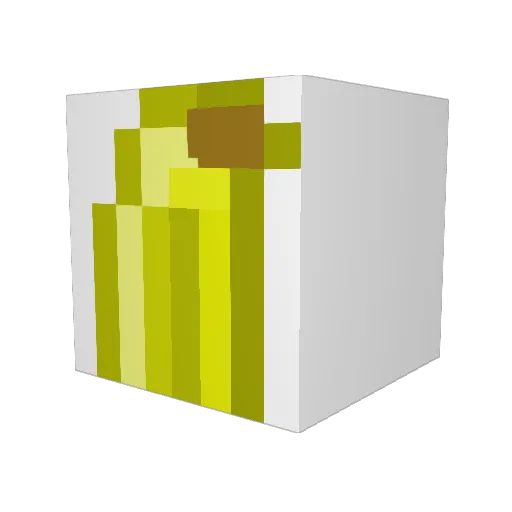 Najushua Minecraft avatar head, 3D render