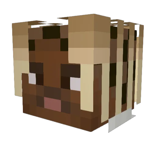 Nakafusa Minecraft avatar head, 3D render