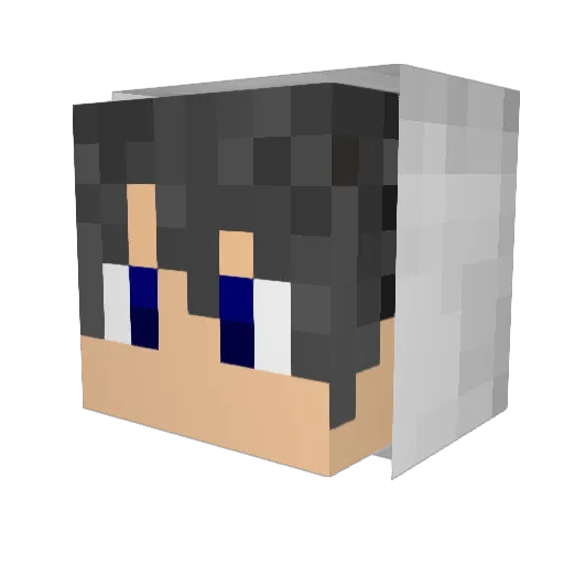 Nakakaa Minecraft avatar head, 3D render