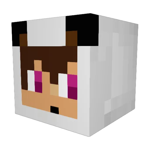Nakama Minecraft avatar head, 3D render